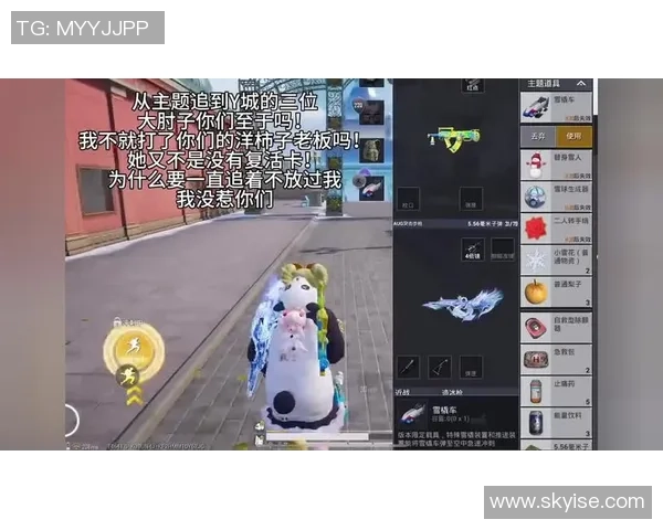 对话杨芳：谈和平精英生涯